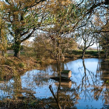 Charming Picturesque Cottage - Nr Tenterden & Rye, Pets Welcomed Rolvenden Εξωτερικό φωτογραφία