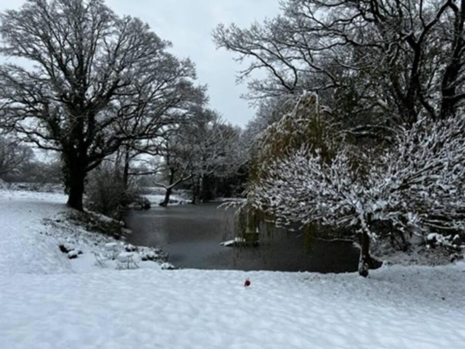 Charming Picturesque Cottage - Nr Tenterden & Rye, Pets Welcomed Rolvenden Εξωτερικό φωτογραφία