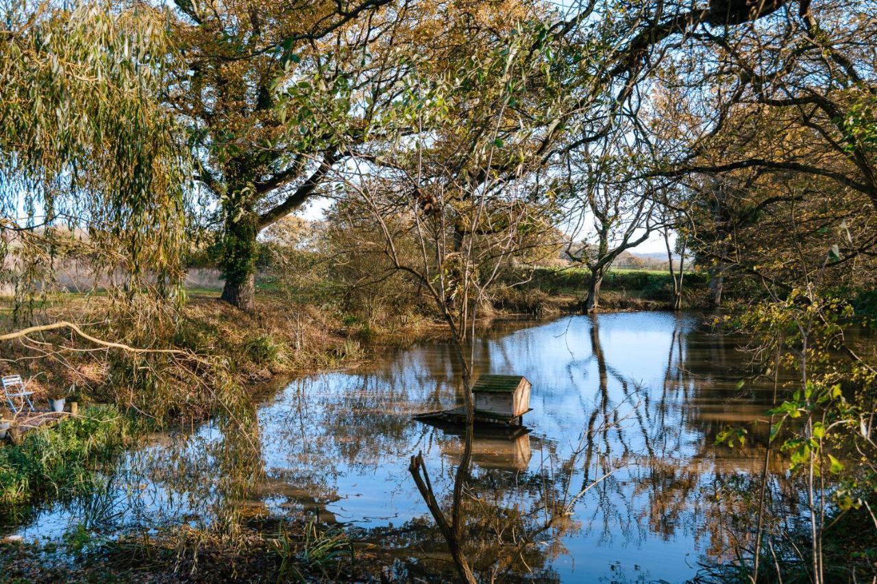 Charming Picturesque Cottage - Nr Tenterden & Rye, Pets Welcomed Rolvenden Εξωτερικό φωτογραφία
